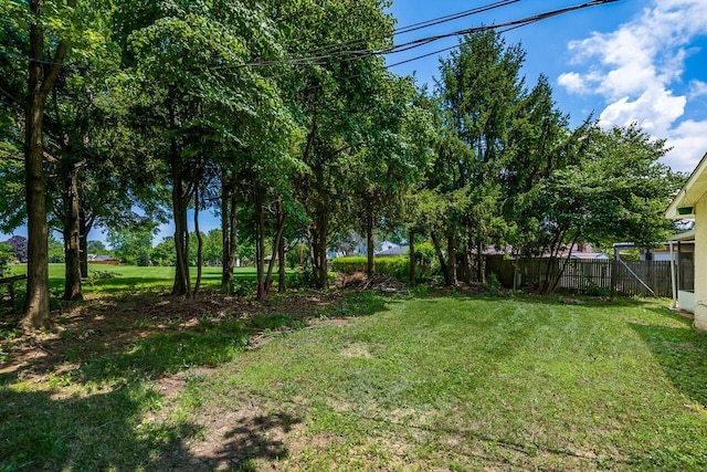 1914 Walden Dr, Columbus, OH 43229 - view of yard