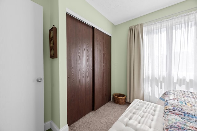 579 Buckeye Ln, Mount Gilead, OH 43338 - bedroom with carpet and a closet