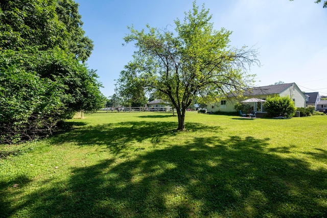 579 Buckeye Ln, Mount Gilead, OH 43338 - view of grassy yard