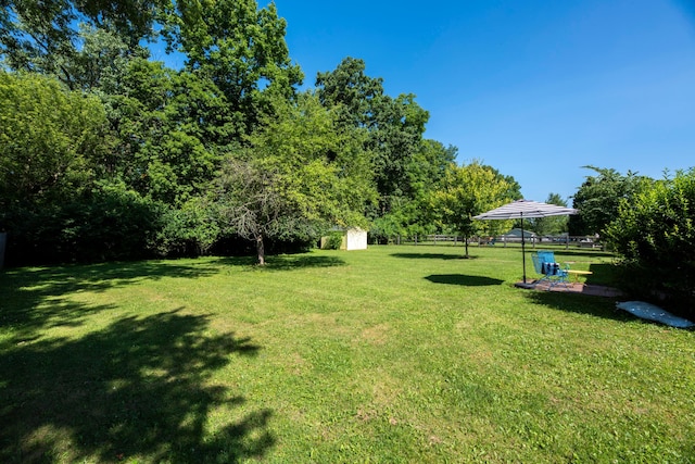 579 Buckeye Ln, Mount Gilead, OH 43338 - view of yard with a shed