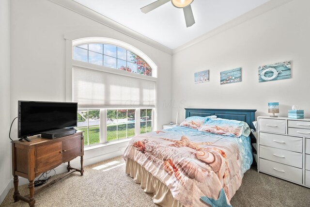 6471 Fogle Ct, Westerville, OH 43082 - photo 24