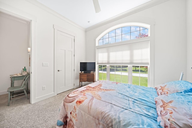 6471 Fogle Ct, Westerville, OH 43082 - photo 25