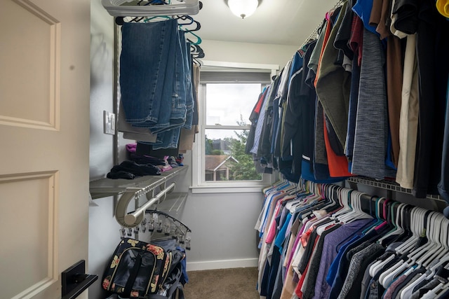619 Columbus Ave, Washington Court House, OH 43160 - spacious closet featuring carpet floors