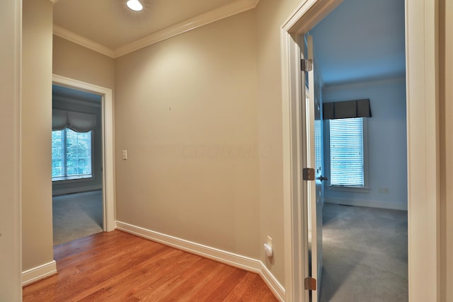 580 Keyes Ln, Worthington, OH 43085 - hall with ornamental molding, healthy amount of natural light, and wood finished floors