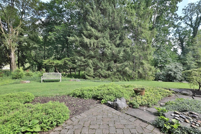 580 Keyes Ln, Worthington, OH 43085 - view of green lawn