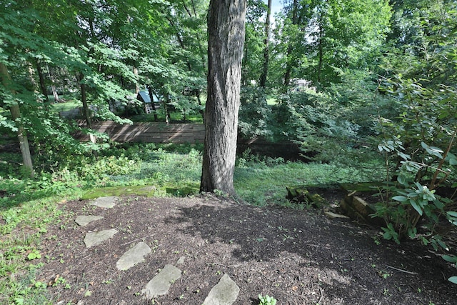 580 Keyes Ln, Worthington, OH 43085 - view of yard