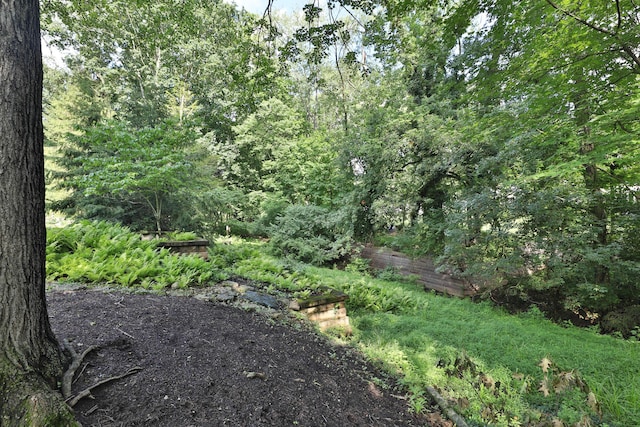 580 Keyes Ln, Worthington, OH 43085 - view of wooded area
