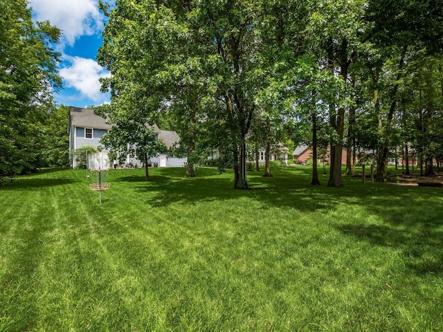 535 Wilderness Rd, Marysville, OH 43040 - photo 48