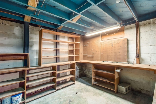 2969 Grasmere Ave, Columbus, OH 43224 - unfinished below grade area featuring a workshop area