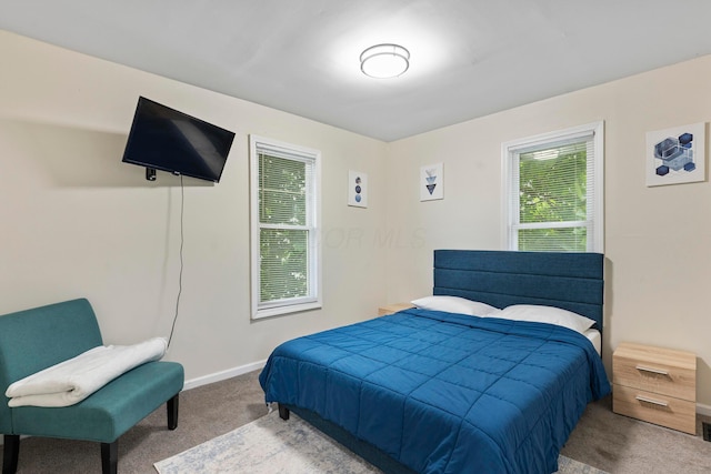 185 S Princeton Ave, Columbus, OH 43223 - bedroom with carpet floors and baseboards