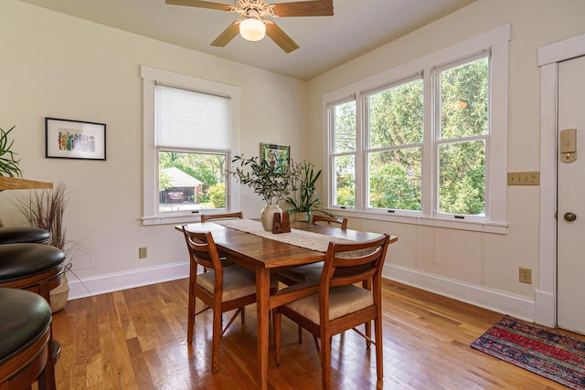 1734 W 1st Ave, Grandview, OH 43212 - dining space featuring wood finished floors and a ceiling fan