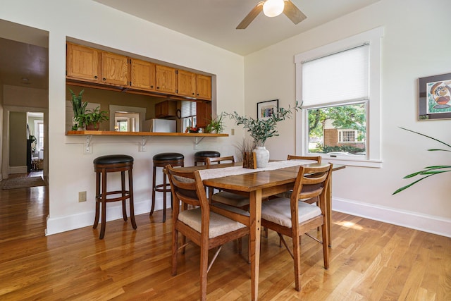 1734 W 1st Ave, Grandview, OH 43212 - dining room featuring light wood-style flooring and a ceiling fan