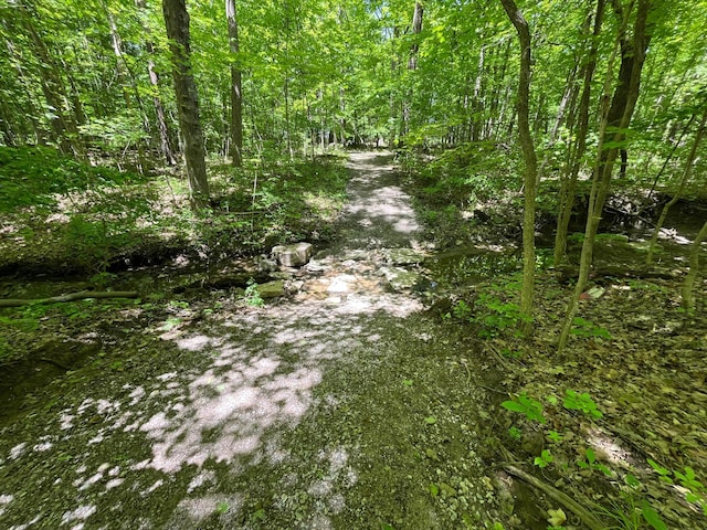 5910 Harrow Glen Ct, Galena, OH 43021 - photo 42