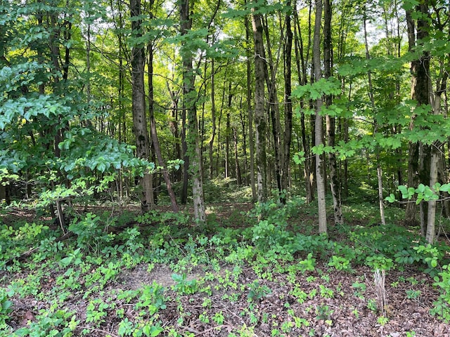 5910 Harrow Glen Ct, Galena, OH 43021 - photo 44