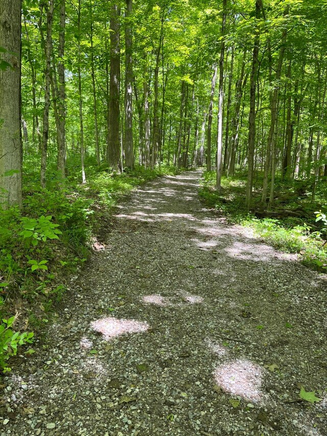 5910 Harrow Glen Ct, Galena, OH 43021 - photo 43
