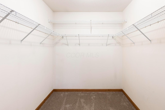 11578 Duncan Plains Rd NW, Johnstown, OH 43031 - walk in closet featuring carpet