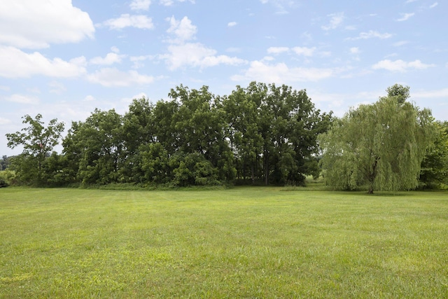 11578 Duncan Plains Rd NW, Johnstown, OH 43031 - view of green lawn