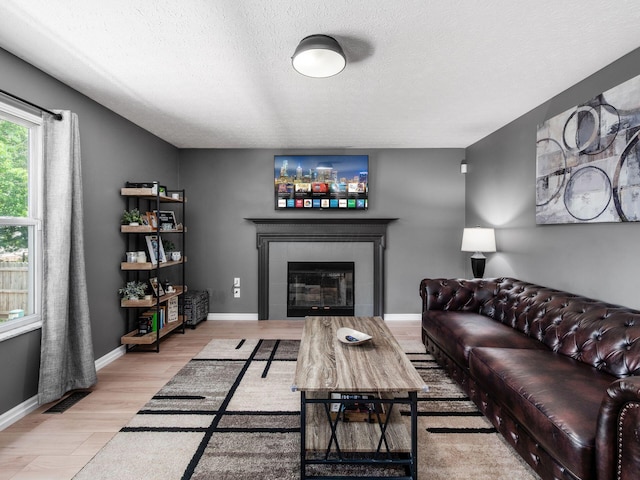 3552 Smiley Rd, Hilliard, OH 43026 - living room with a tiled fireplace, wood finished floors, and a textured ceiling