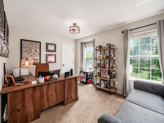 3552 Smiley Rd, Hilliard, OH 43026 - home office with light carpet, healthy amount of natural light, and a textured ceiling