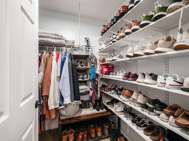 3552 Smiley Rd, Hilliard, OH 43026 - view of walk in closet