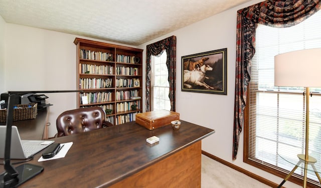 985 Farrington Dr, Westerville, OH 43081 - photo 22