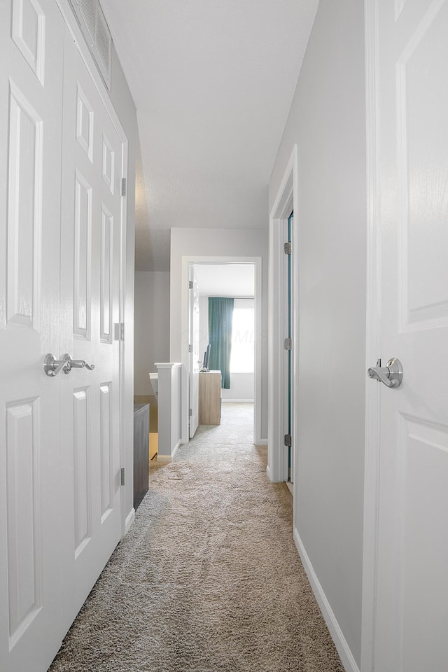 5928 Treven Way, Westerville, OH 43081 - corridor featuring light carpet and baseboards