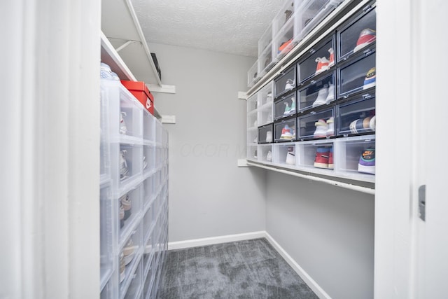 4968 Wintersong Ln Unit 10, Westerville, OH 43081 - spacious closet featuring carpet