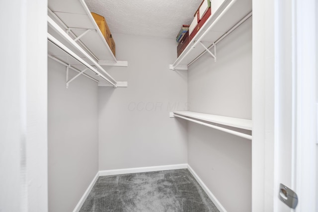 4968 Wintersong Ln Unit 10, Westerville, OH 43081 - walk in closet with carpet floors
