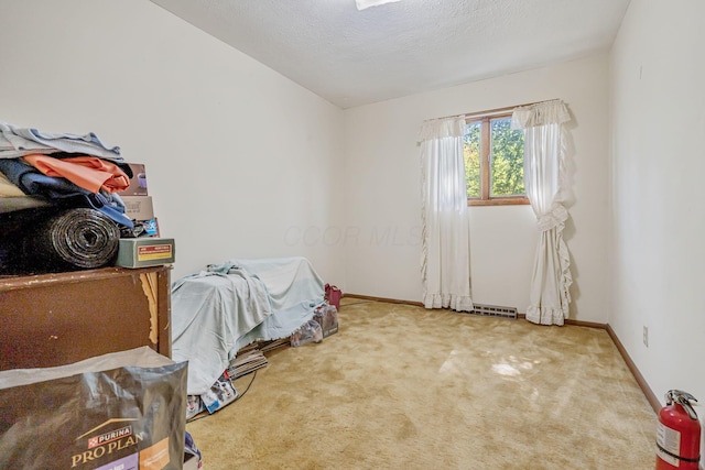 4250 Herr Fieldhouse Rd, Southington, OH 44470 - bedroom featuring carpet and a textured ceiling