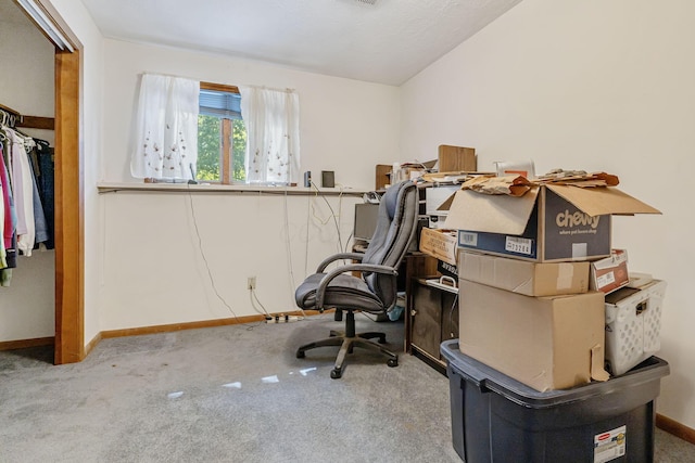 4250 Herr Fieldhouse Rd, Southington, OH 44470 - carpeted office with baseboards and lofted ceiling
