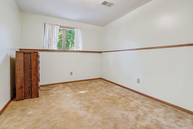 4250 Herr Fieldhouse Rd, Southington, OH 44470 - carpeted spare room with baseboards and a textured ceiling