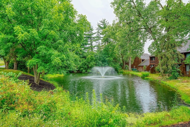 4883 Powderhorn Ln Unit 3, Westerville, OH 43081 - water view