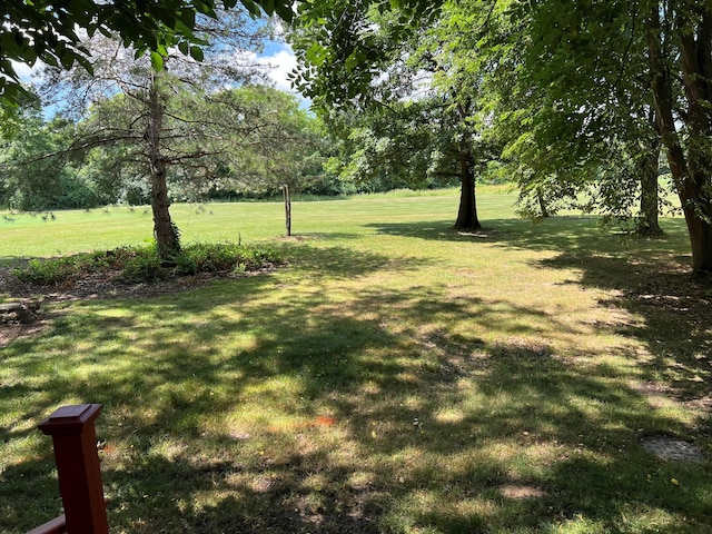 4883 Powderhorn Ln Unit 3, Westerville, OH 43081 - view of green lawn