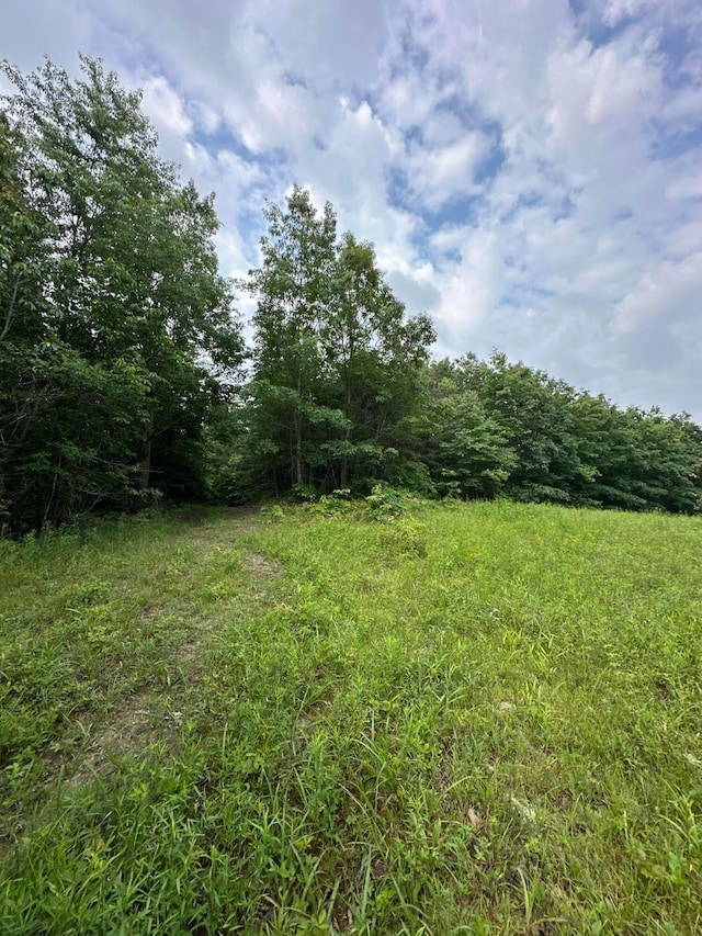 1318 Haney Rd, Wheelersburg, OH 45694 - photo 19