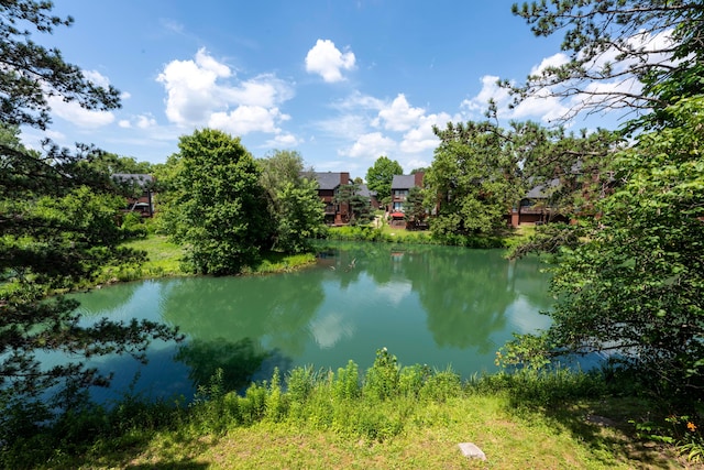 4758 Crazy Horse Ln Unit 2, Westerville, OH 43081 - water view