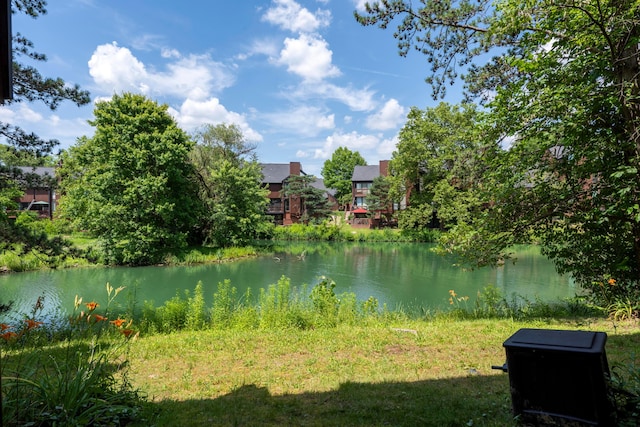 4758 Crazy Horse Ln Unit 2, Westerville, OH 43081 - water view