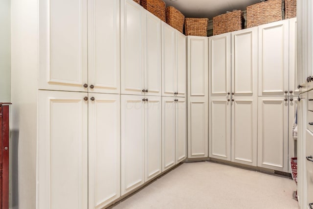 161 Jackson St, Columbus, OH 43206 - walk in closet with light colored carpet