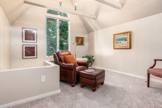 161 Jackson St, Columbus, OH 43206 - living area featuring vaulted ceiling and carpet floors