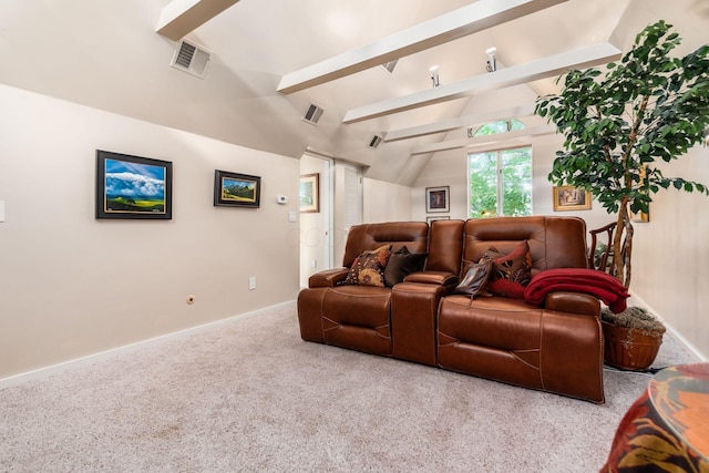 161 Jackson St, Columbus, OH 43206 - carpeted home theater with baseboards