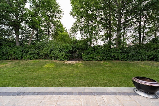 8142 Jerry Dr, Powell, OH 43065 - photo 78