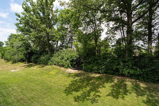 8142 Jerry Dr, Powell, OH 43065 - photo 82