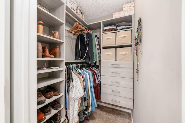 2328 Terrance Dr Unit 76, Columbus, OH 43220 - walk in closet with carpet
