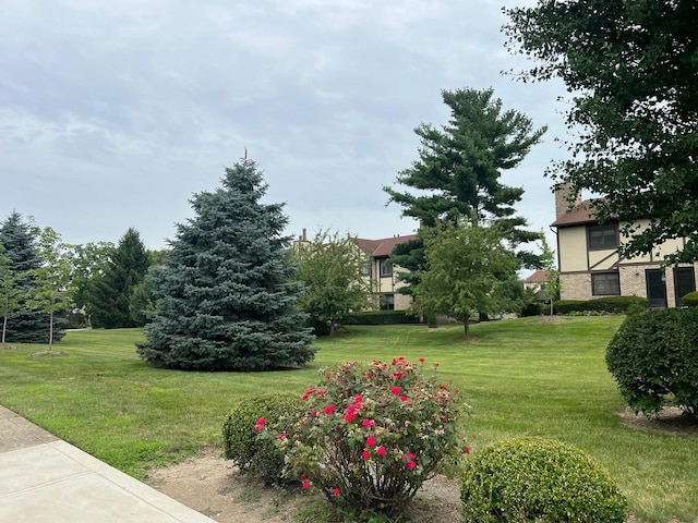 2328 Terrance Dr Unit 76, Columbus, OH 43220 - view of grassy yard
