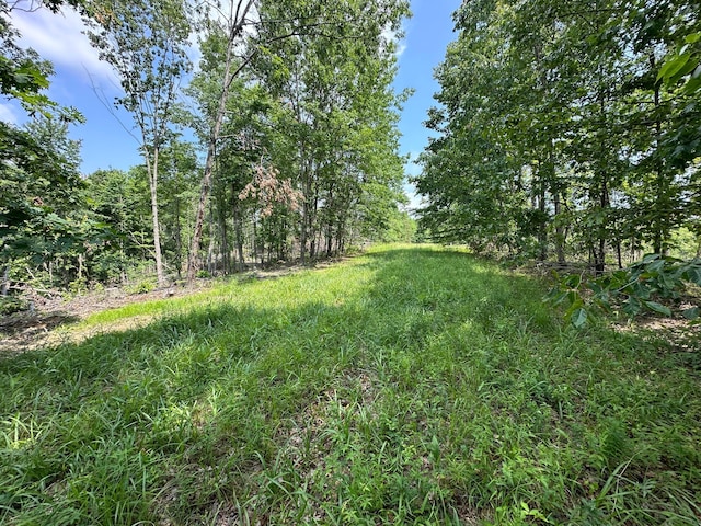 0 Lick Run Lyra Rd, Wheelersburg, OH 45694 - photo 4