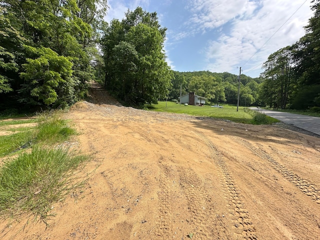 0 Lick Run Lyra Rd, Wheelersburg, OH 45694 - photo 5