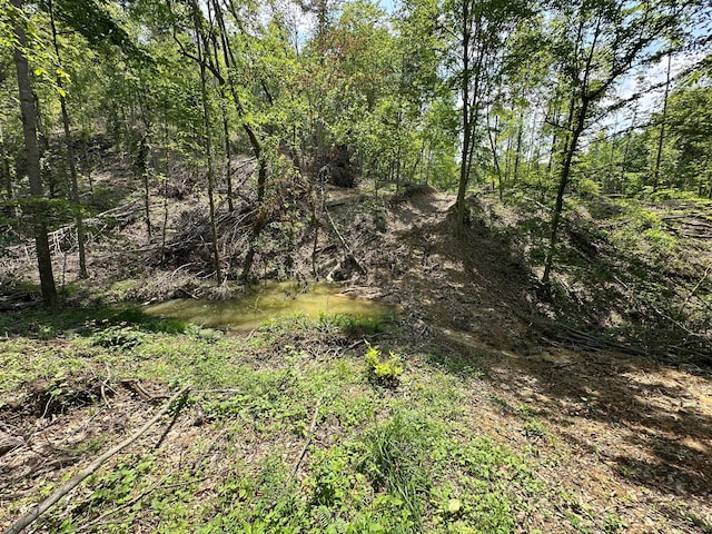 0 Lick Run Lyra Rd, Wheelersburg, OH 45694 - photo 15