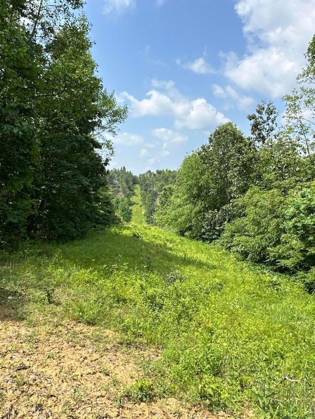 0 Lick Run Lyra Rd, Wheelersburg, OH 45694 - photo 14