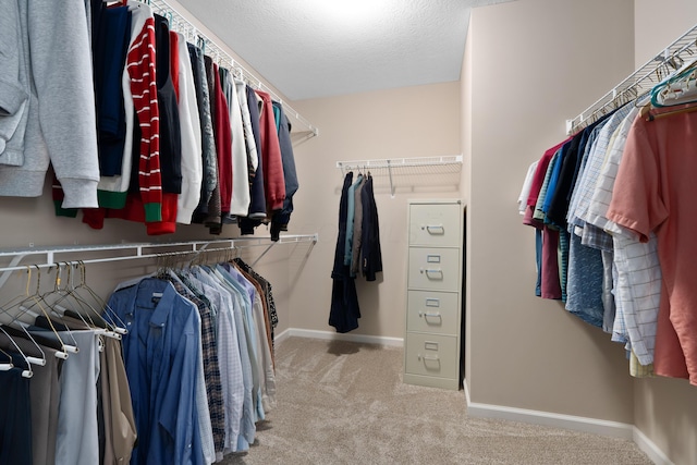 8090 Tree Lake Blvd, Powell, OH 43065 - walk in closet with carpet