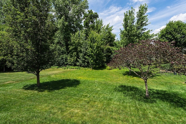 8090 Tree Lake Blvd, Powell, OH 43065 - view of grassy yard