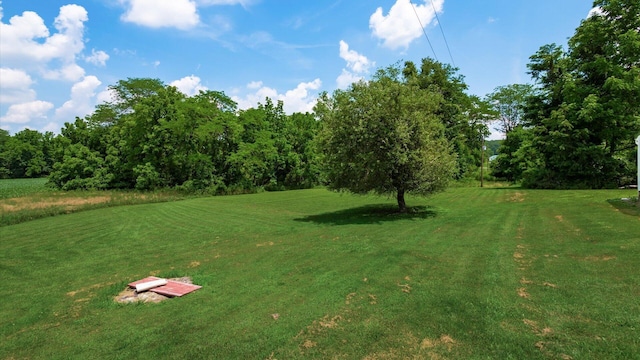13255 Lonesome Rd, Thornville, OH 43076 - photo 38